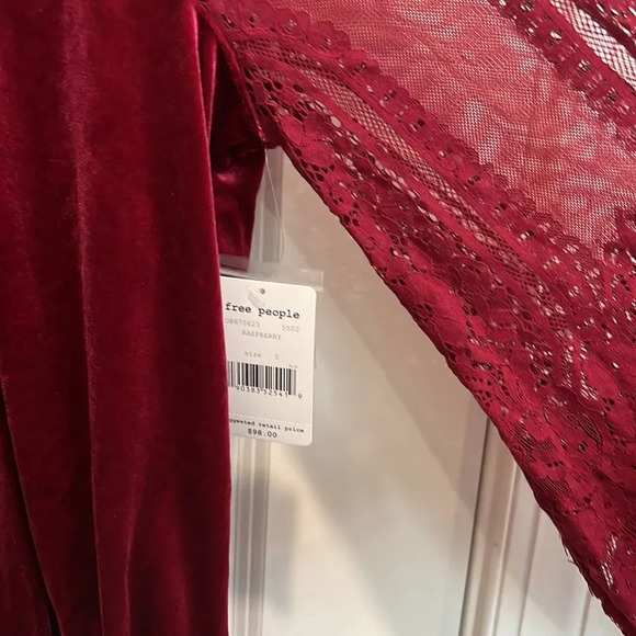 NWT Free People Raspberry Dream Team top, velvet with mesh sleeves & embroidery - Picture 4 of 10